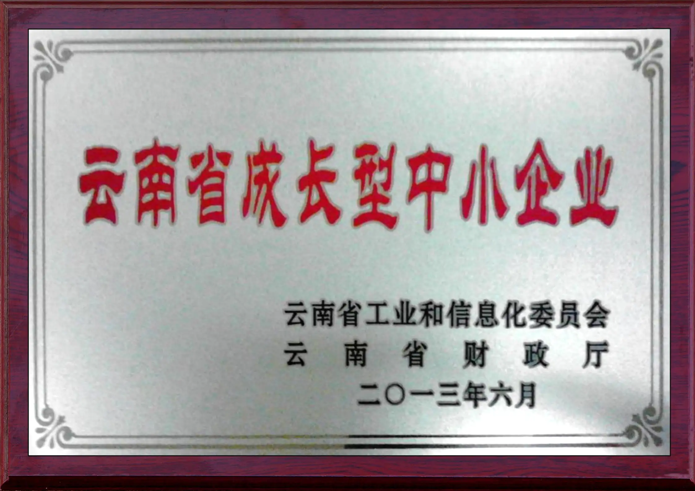 云南成长型中小企业